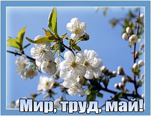 С МАЙСКИМИ ПРАЗДНИКАМИ